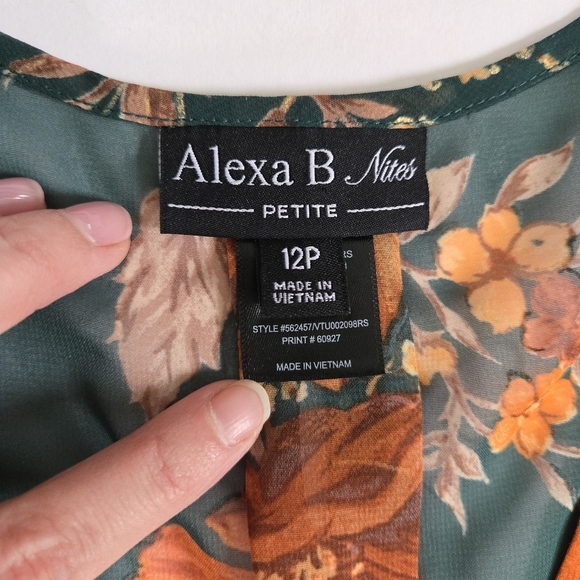 Alexa B Nites chiffon green orange floral flutter sleeve maxi dress 12P - Picture 4 of 12